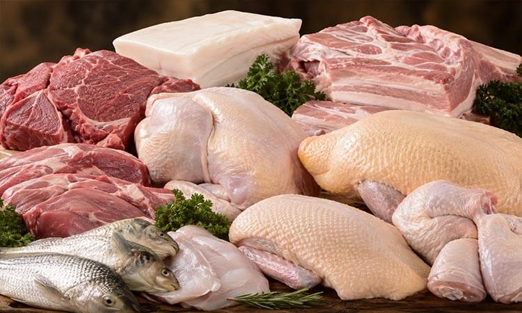 Animal Oil Processing