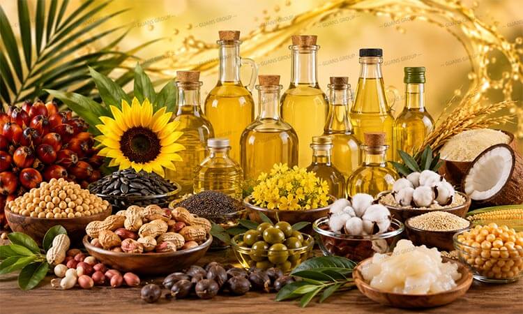 Edible oil processing