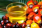Palm oil
